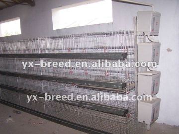 Battery Cage of pullet raising equipment