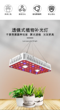 LED Grow Light Retrofit for Fluorescent Grow Lamp