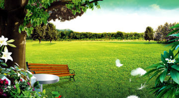 High Resolution Eco - Friendly Fields And Gardens Wall Decor Paintings For Home