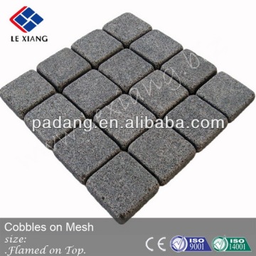 Dark granite paving stone