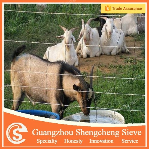 Galvanized livestock metal wire mesh fence pig mesh fence