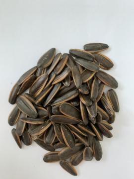 Suger flavour sunflower seeds