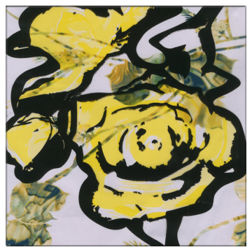 Top quality PET material transfer printing foil