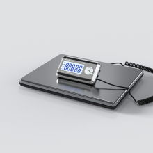 SF-889 440lbs LCD platform digital scale floor bench