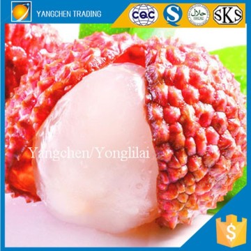 Best canned food canned lychee fruit for Dubai