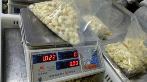 Peeled Garlic to Euro market