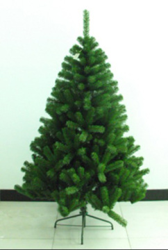 Christmas trees cbt60580