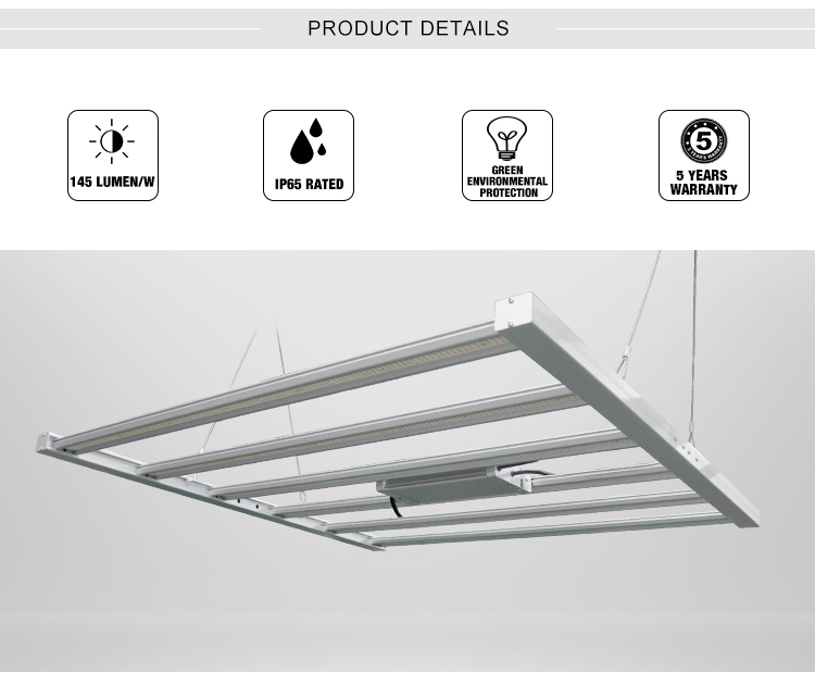 DIY COB Commercial LED Grow Light