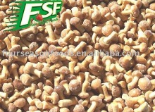 2014 New Crop Mushrooms Nameko,Frozen Nameko
