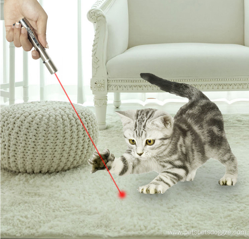 Wand Pet Training Tool Exercise cats toys