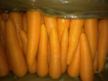 Fresh wholesale yello carrot