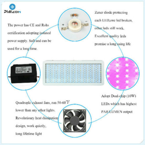 Bộ đồ treo miễn phí Phlizon LED phát triển ánh sáng