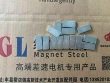 Quality assurance rectangular motor magnet