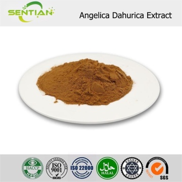 Natural Angelica Dahurica Root Extract Imperatorin Powder