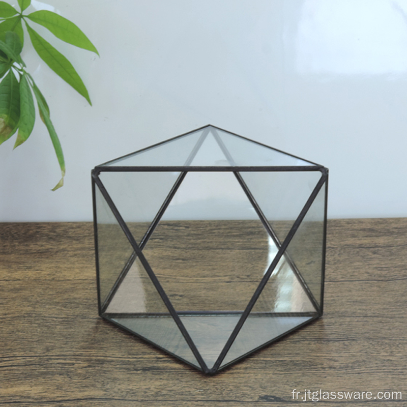 Serre Balcon Verre Jardin Fleurs Cube Terrarium