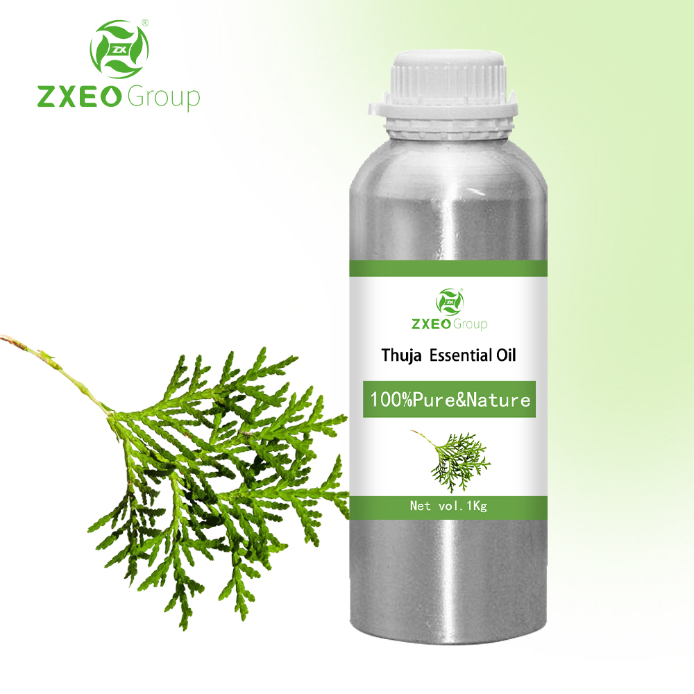 100% puro naturale naturale materia orgica thuja olio essenziale all&#39;ingrosso in massa di alta qualità distillata estrattiva thuja olio ragionevole prezzo