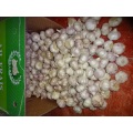 2020 New Season Normal White Garlic Size 5.0cm