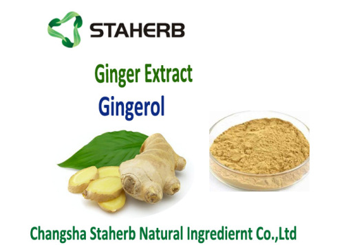 Ginger Root Extract Gingerols 5-20%