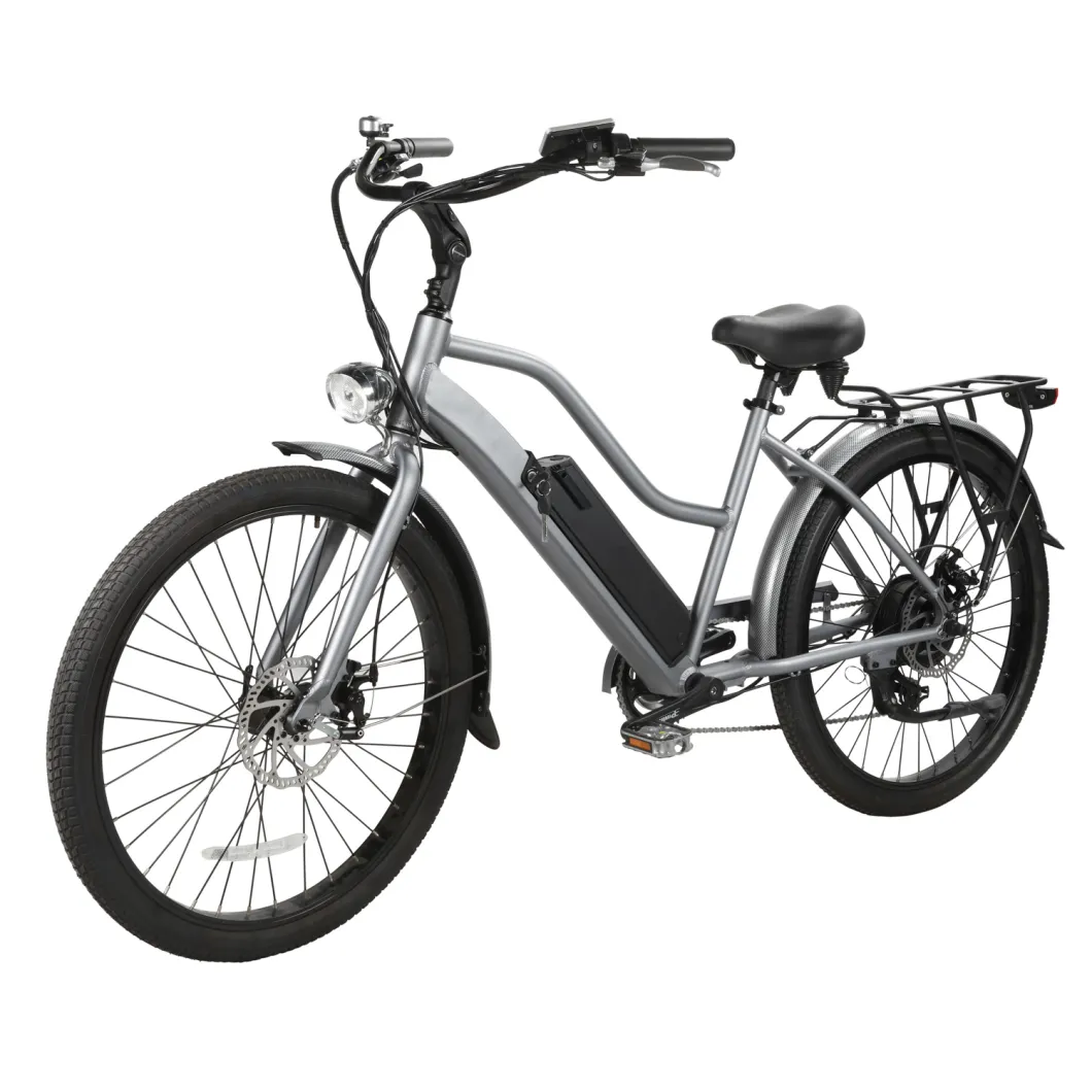 CKD SKD Export Electric Bike Cheap Price Optional Motor Power