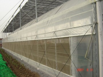 whitefly ultra fine mesh