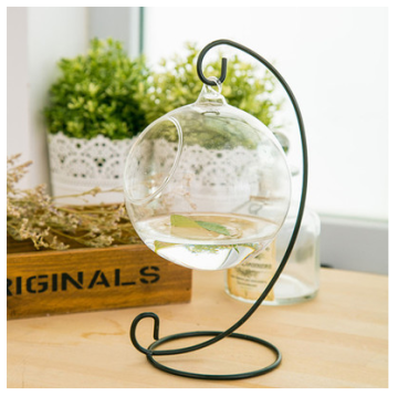 Hot Selling Indoor Plant Rose Glass Terrarium