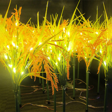 Outdoor Rice Plant Lights