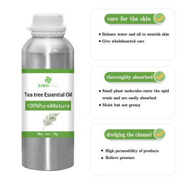 100% pure natural organic matter tea tree essential oil wholesale in bulk high qulity distill extractive tea tree essential oil