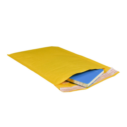 Matte Printing Double Zipper Compostable Mailing Bag