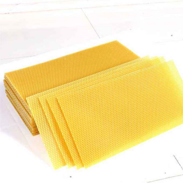 Apis mellifera beekeeping beeswax comb foundation sheet for sale