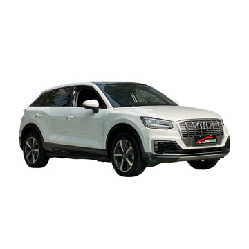 Electric car 5-seater Audi Q2L