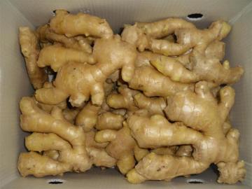Professinal Exporter for air dried ginger