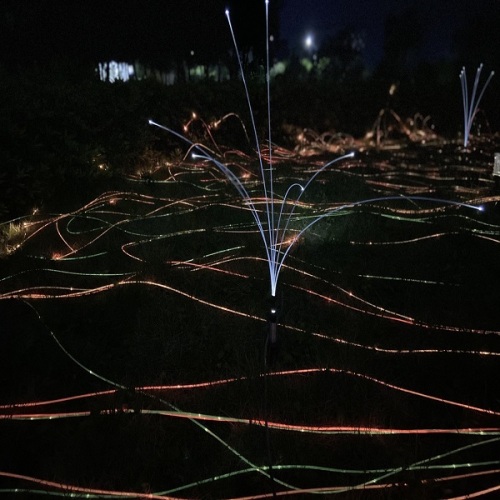 Nueva iluminación decorativa de fibra óptica para jardín