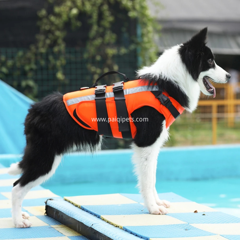 Pet-Dog-Life-Jacket-Safety-Clothes-Life-Vest-Swimming-Clothes-Swimwear-for-small-big-dog-Husky.jpg_Q90.jpg_.webp