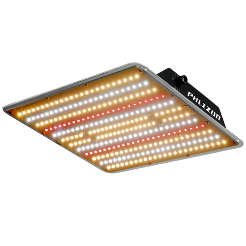 Quantum Board 100W Licht für Gemüse