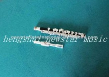 music instruments Piccolo HPL-803