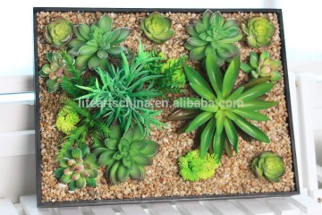 pop succulent plants, 40X30CM wooden frame, hanging plants, wall plants, tabletop plants,