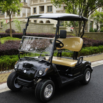 2 Seater Gasoline Engine Golf Buggy, Cart, Car: Your Ultimate Guide