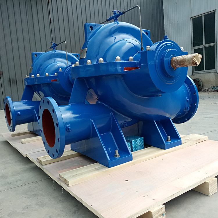 Cast iron double suction water pump without motor