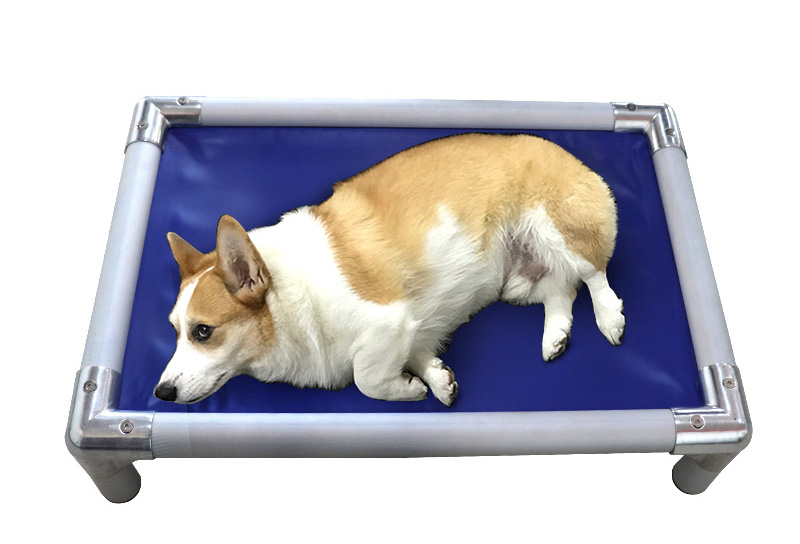 Best large & small aluminum frame dog beds