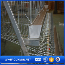 160 Birds 4 Floor Chicken Cage On Kenyan Farm