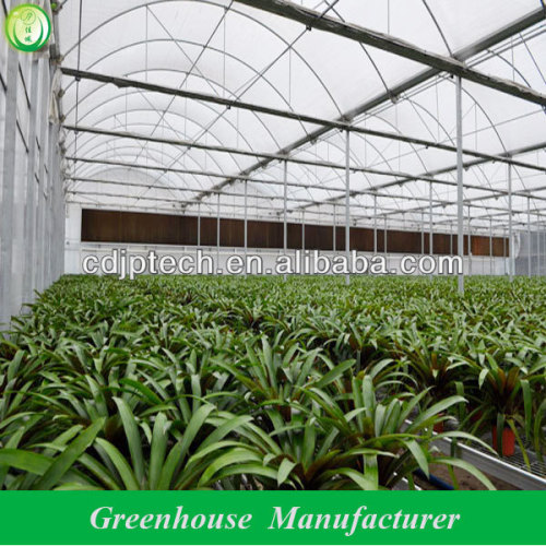 commercial greenhouse design