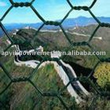 PVC coated hexagoanl wire netting (aoyk)