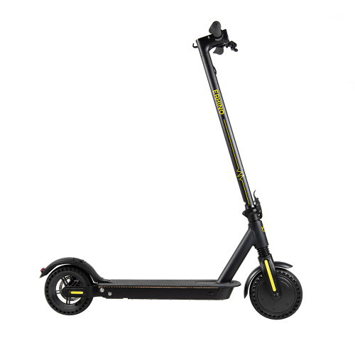 PRO 8.5 pouces 250w deux scooters électriques de roue