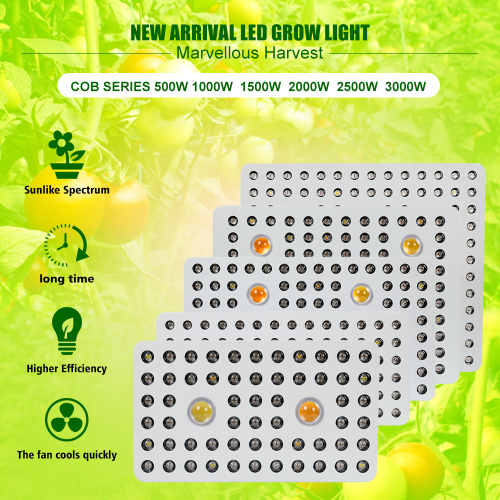 बेस्ट 3000W क्री सीओबी एलईडी ग्रो लाइट्स 2020