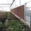 Evaporative Cooling Pad For Greenhouse