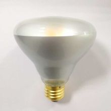 frosted glass R95 led filament bulb