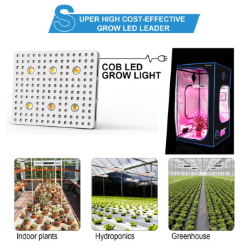 3000W COB-LED erweitert das Spektrum für Gewächshäuser