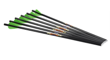 EXCALIBUR - DIABLO 18" CARBON ARROW 6PK