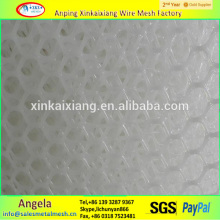 Extruded polyethylene nets/plastic net made in china
