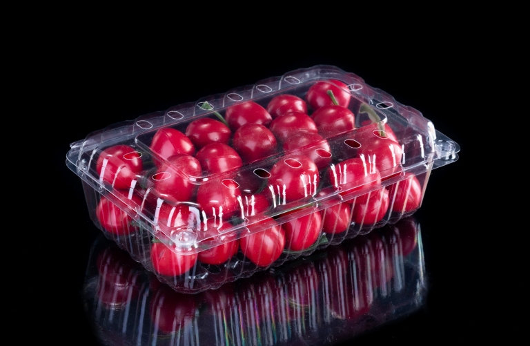 Wholesale eco-friendly Fruit Clamshell